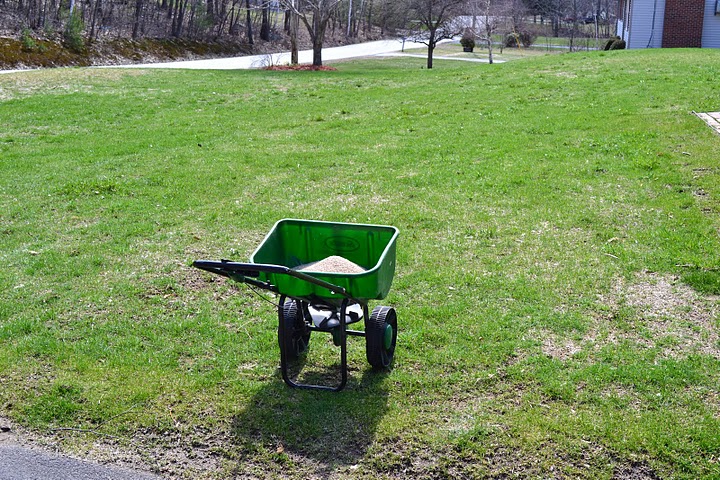 Apply a grub killer product with Dylox to eliminate white grubs immediately.