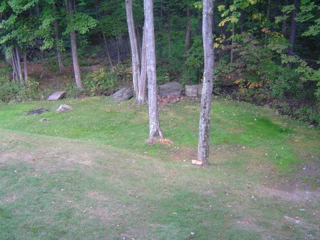 Backyard prior to excavator and landscaping