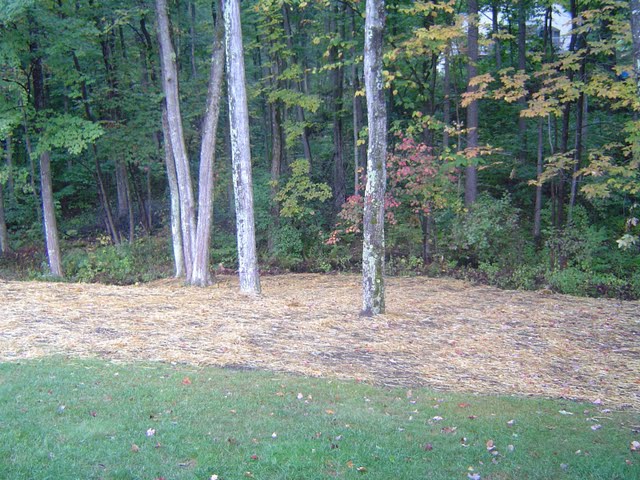 Loam and grass seed covered with straw