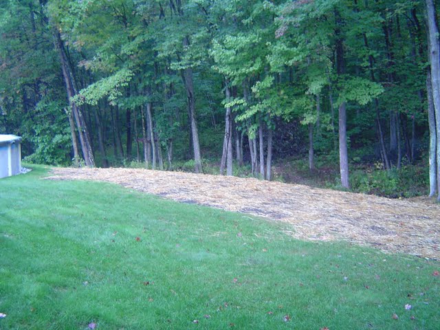 Newly landscaped backyard