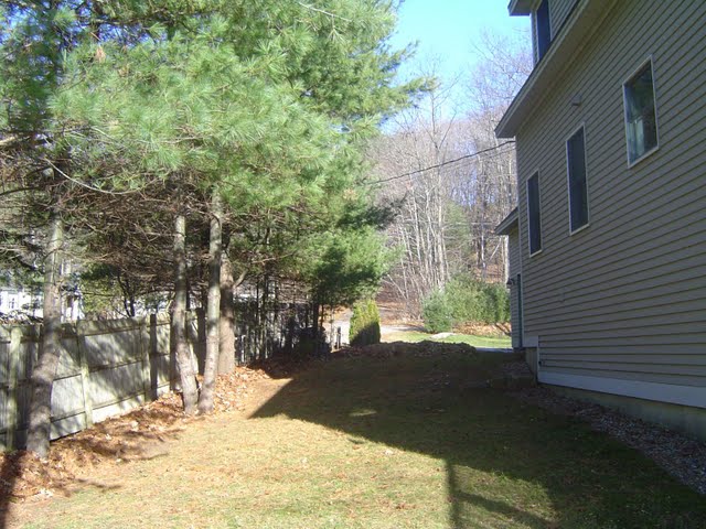Spring yard clean up starts with raking the lawn.