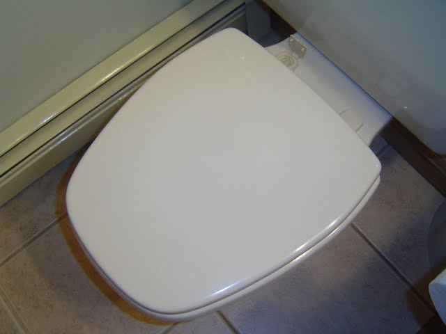 How a Toilet Works