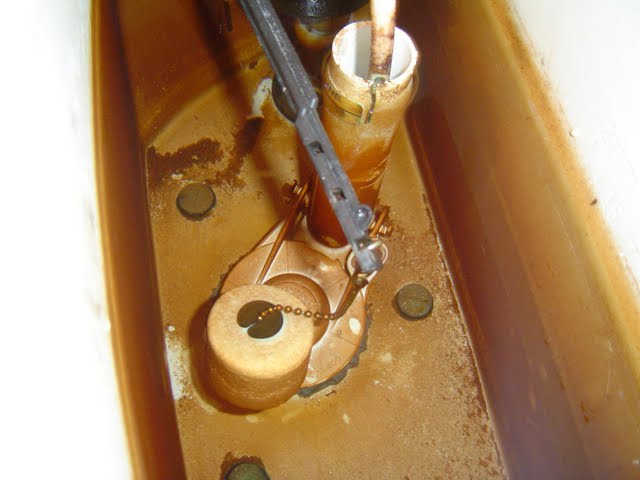 Toilet Tank Flush Valve Assembly