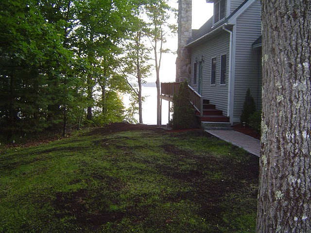 Restore a lawn by raking, de-thatching, and adding compost, fertilizer and grass seed